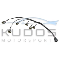 R35 GT-R Smart Coil Conversation Harness R33 GTST Series 2, R34 Neo & R34 GTR