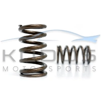 Valve Spring Set for 1JZ-GTE inc VVT-i