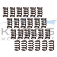 Valve Spring Set for Nissan RB26DETT