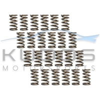 Valve Spring Set for Nissan (R)PS13/S14/S15 | SR20DE(T)