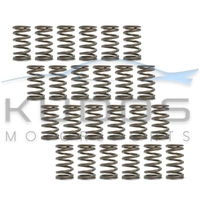 Valve Spring Set for Toyota 2JZ-GTE inc VVT-i